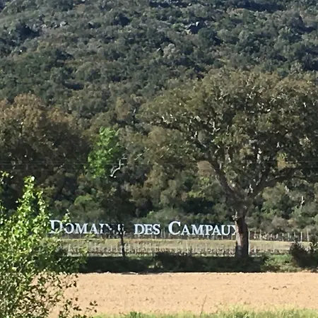 Une Pause En Foret Bormes-les-Mimosas