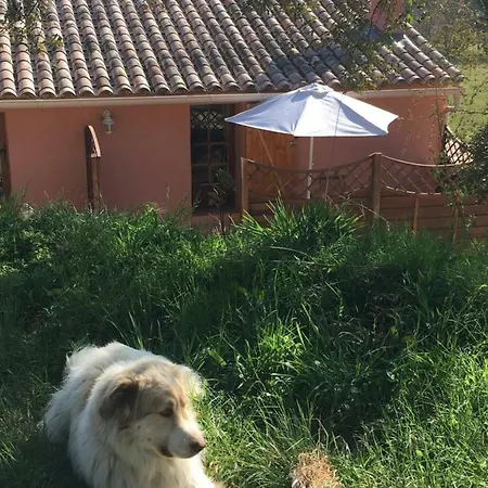 Country house Une Pause En Foret *