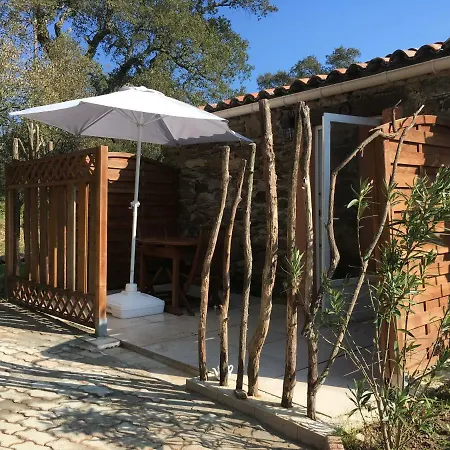Casa di campagna Une Pause En Foret Bormes-les-Mimosas