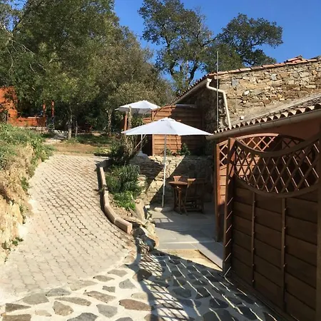 Une Pause En Foret Landhaus Bormes-les-Mimosas