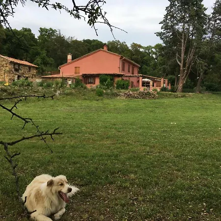 Séjour à la campagne Une Pause En Foret Bormes-les-Mimosas
